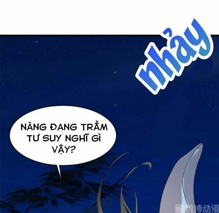 Độc Bộ Thiên Hạ: Đặc Công Thần Y - Chương 232 - ảnh 4