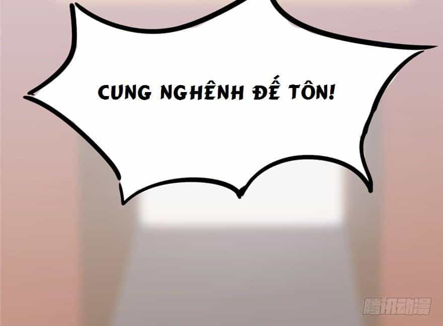 Độc Bộ Thiên Hạ: Đặc Công Thần Y - Chương 20 - ảnh 19