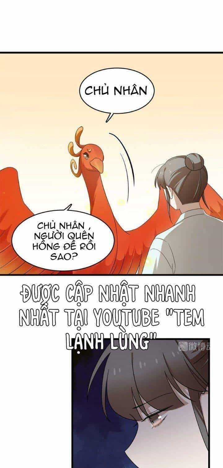 Độc Bộ Thiên Hạ: Đặc Công Thần Y - Chương 307 - ảnh 30