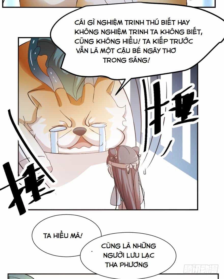 Độc Bộ Thiên Hạ: Đặc Công Thần Y - Chương 3 - ảnh 37