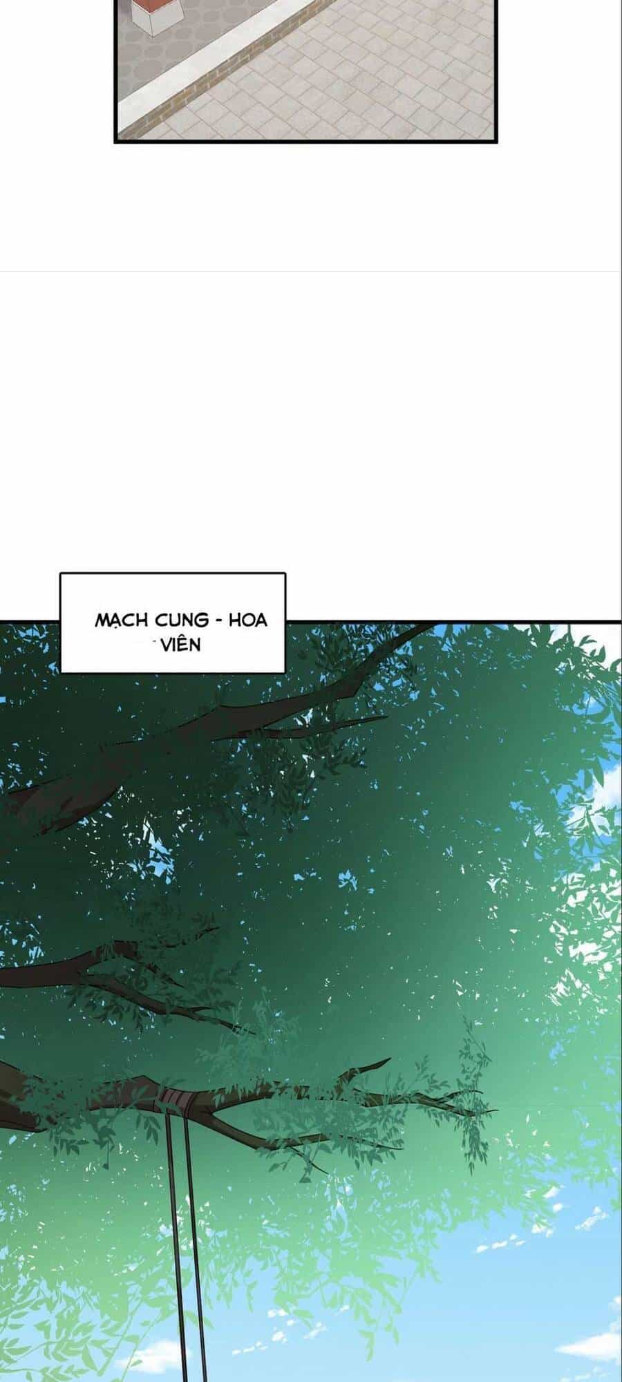Độc Bộ Thiên Hạ: Đặc Công Thần Y - Chương 378 - ảnh 22