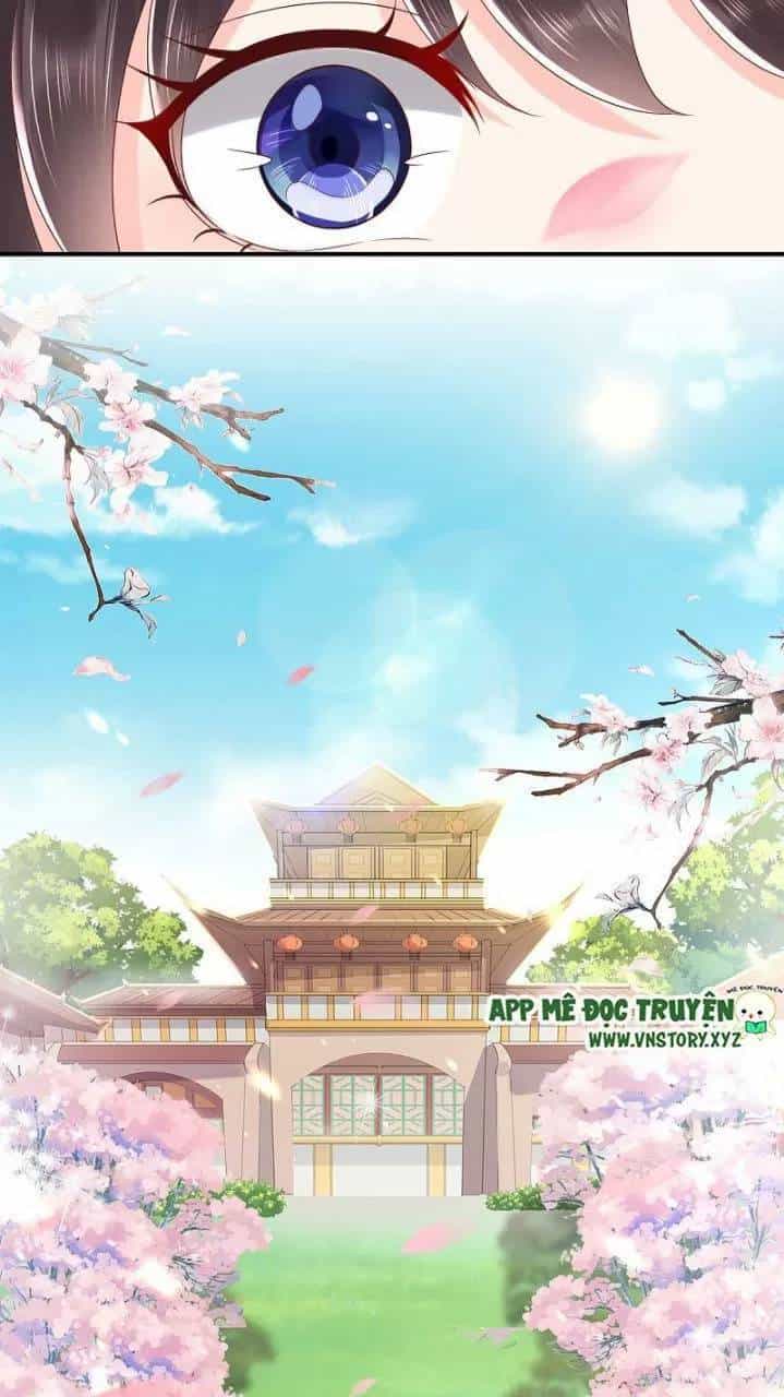 Độc Phi Ngu Ngốc Không Thể Chọc - Chương 173 - ảnh 16