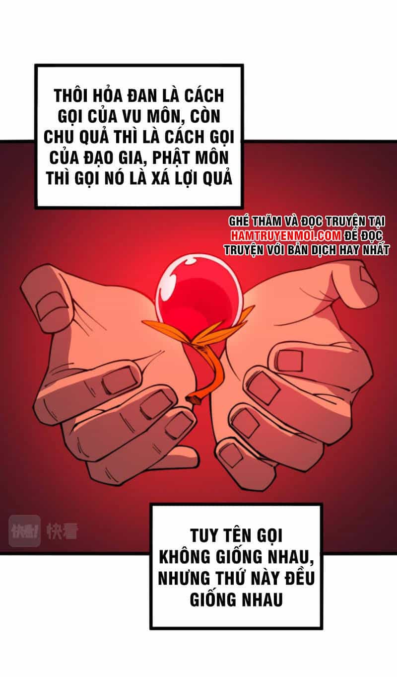 Độc Thủ Vu Y - Chương 297 - ảnh 29