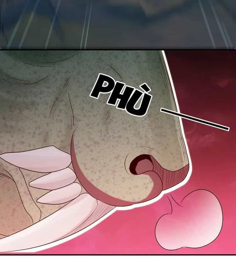 Độc Y Cuồng Phi - Chương 49 - ảnh 29