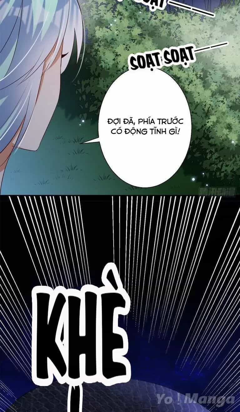 Độc Y Cuồng Phi - Chương 67 - ảnh 29