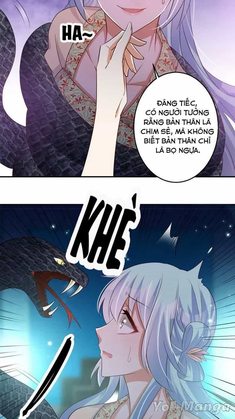 Độc Y Cuồng Phi - Chương 69 - ảnh 2
