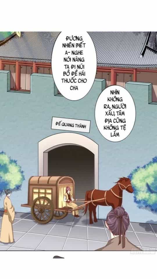 Độc Y Cuồng Phi - Chương 8 - ảnh 8