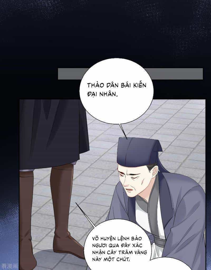 Độc Y Đích Nữ - Chương 100 - ảnh 13