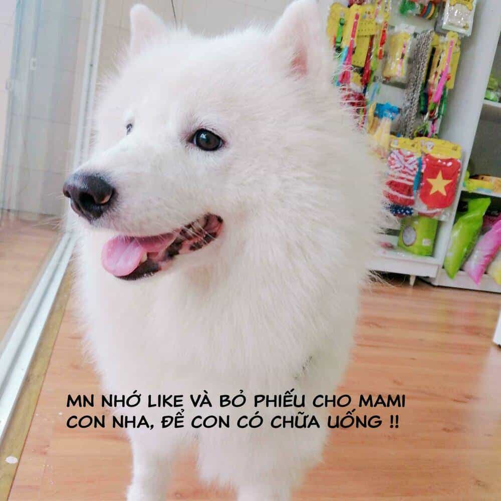 Độc Y Đích Nữ - Chương 15 - ảnh 37