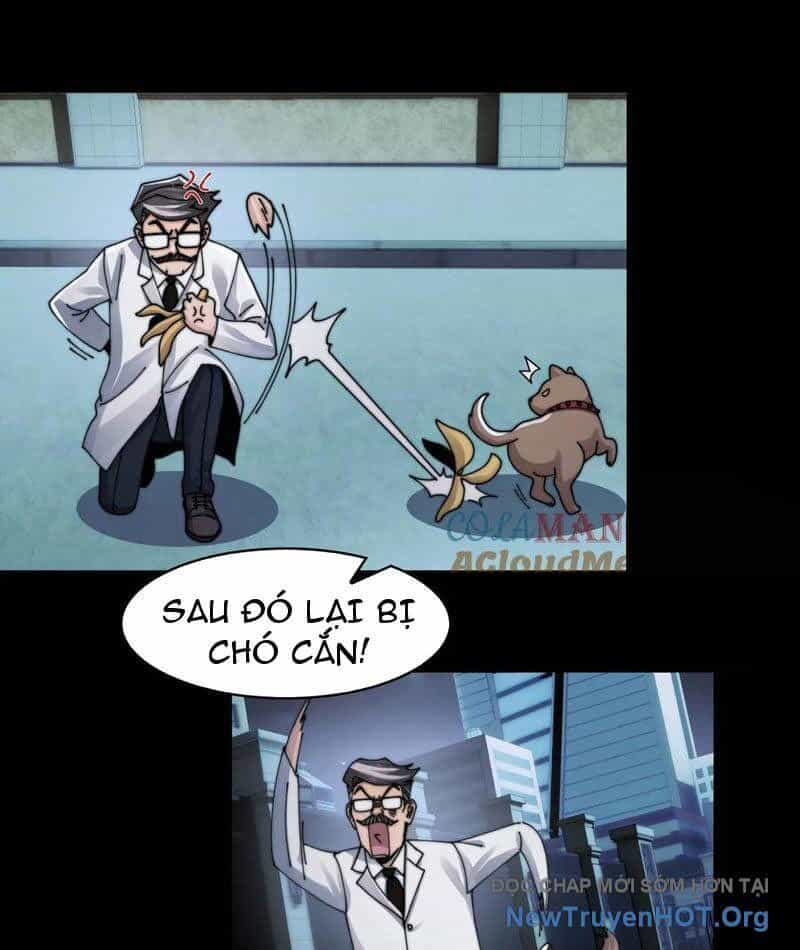 Đối Mặt Với Bệnh Tâm Thần, Ma Quỷ Chẳng Là Cái Thá Gì - Chương 141 - ảnh 9