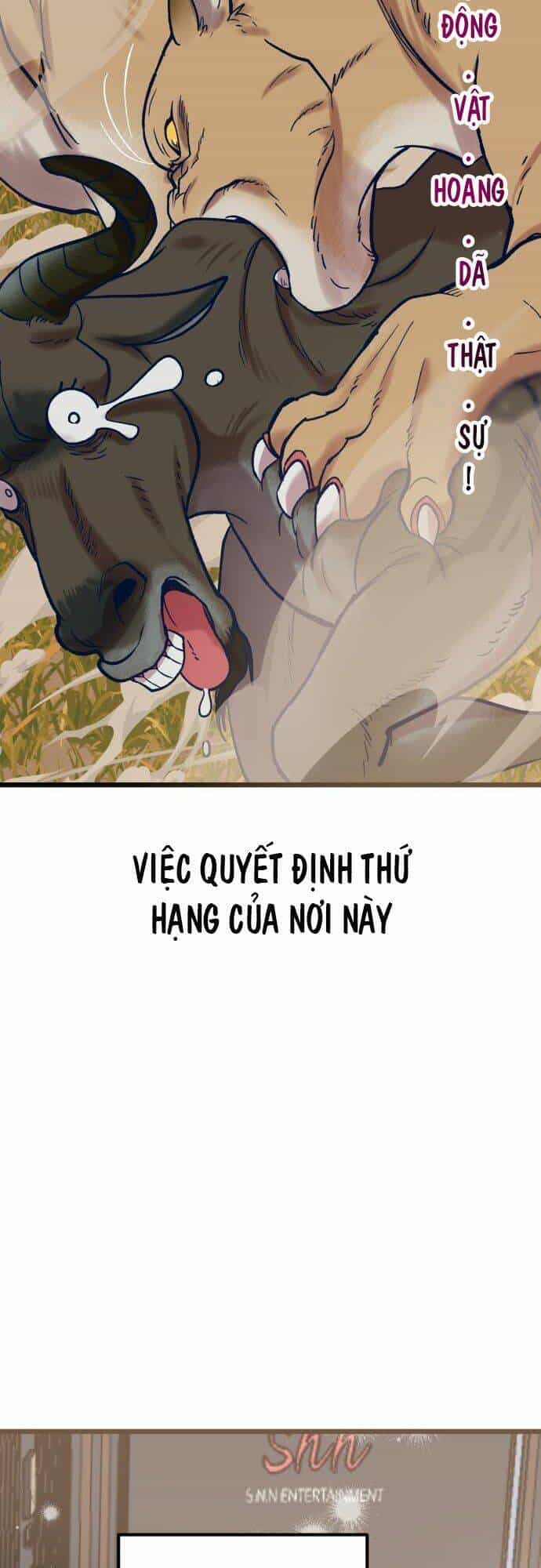 Đời Tư Idol - Chương 5 - ảnh 72
