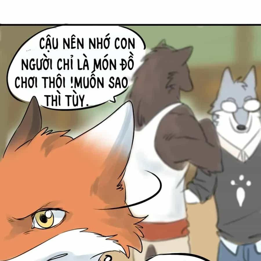 Động Vật Đầu Tiên - Chương 2 - ảnh 11