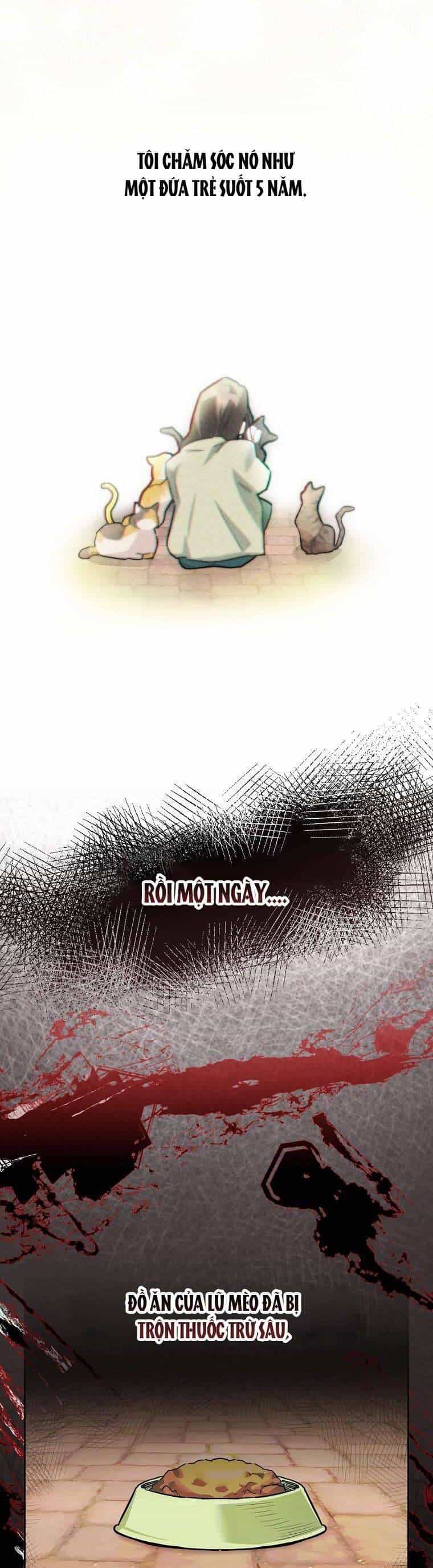 Dù Là Ác Nữ Nhưng Tôi Vẫn Phải Chăm Sóc Mèo - Chương 1 - ảnh 11