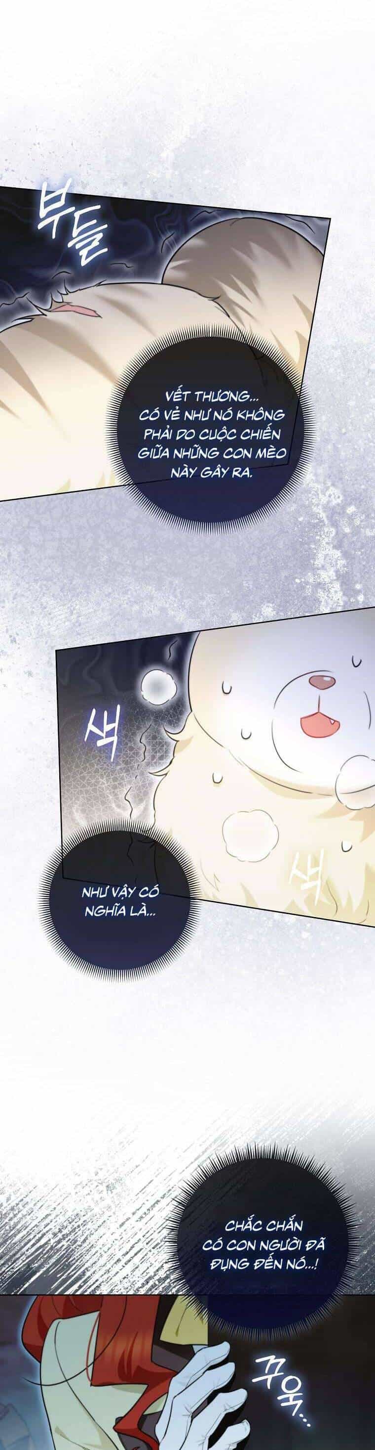Dù Là Ác Nữ Nhưng Tôi Vẫn Phải Chăm Sóc Mèo - Chương 13 - ảnh 20