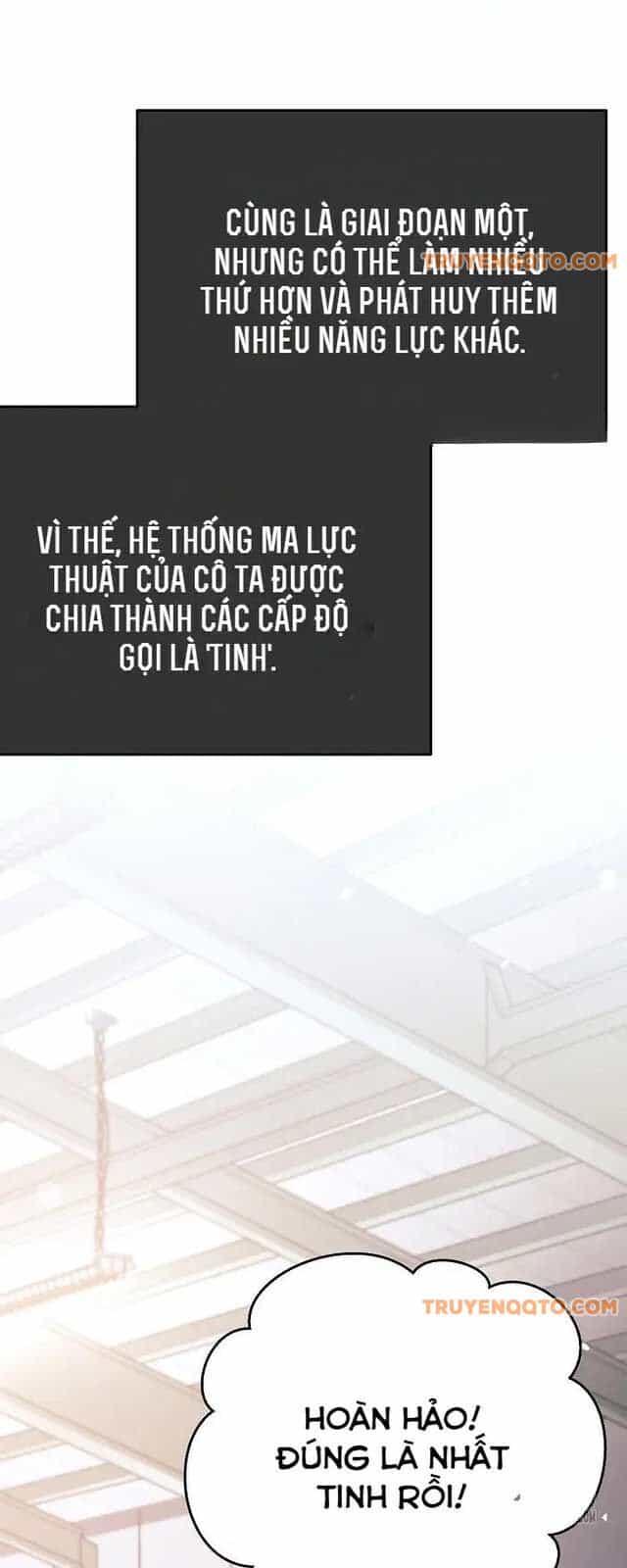 Đứa Con Ngoài Giá Thú Có Khả Năng Hấp Thụ Vũ Khí - Chương 8 - ảnh 24