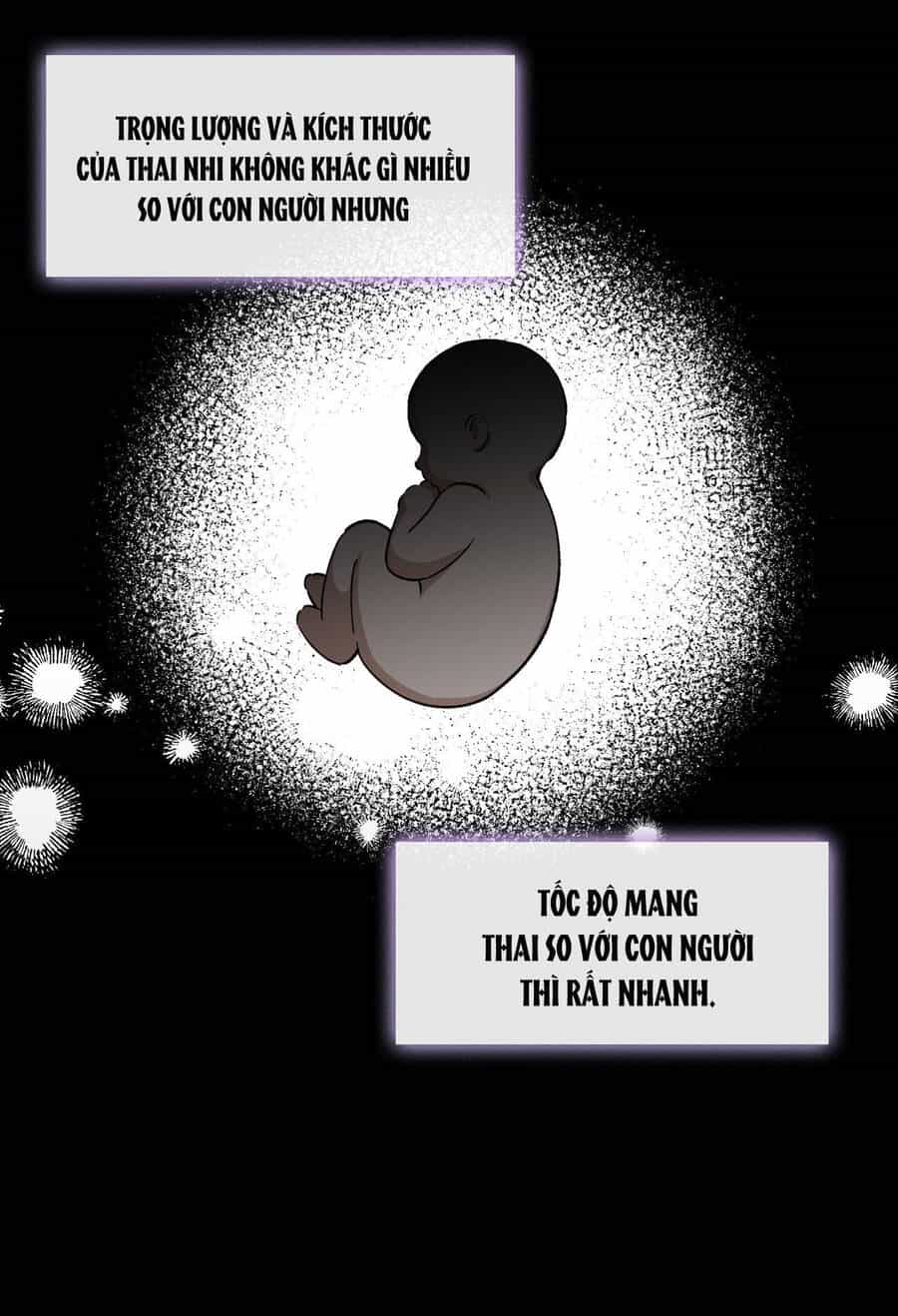 Đưa Em Đến Mặt Trăng - Chương 59.1 - ảnh 2
