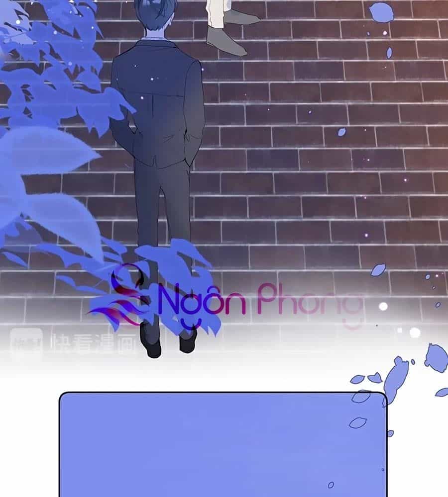 Đừng Khóc - Chương 0 - ảnh 53
