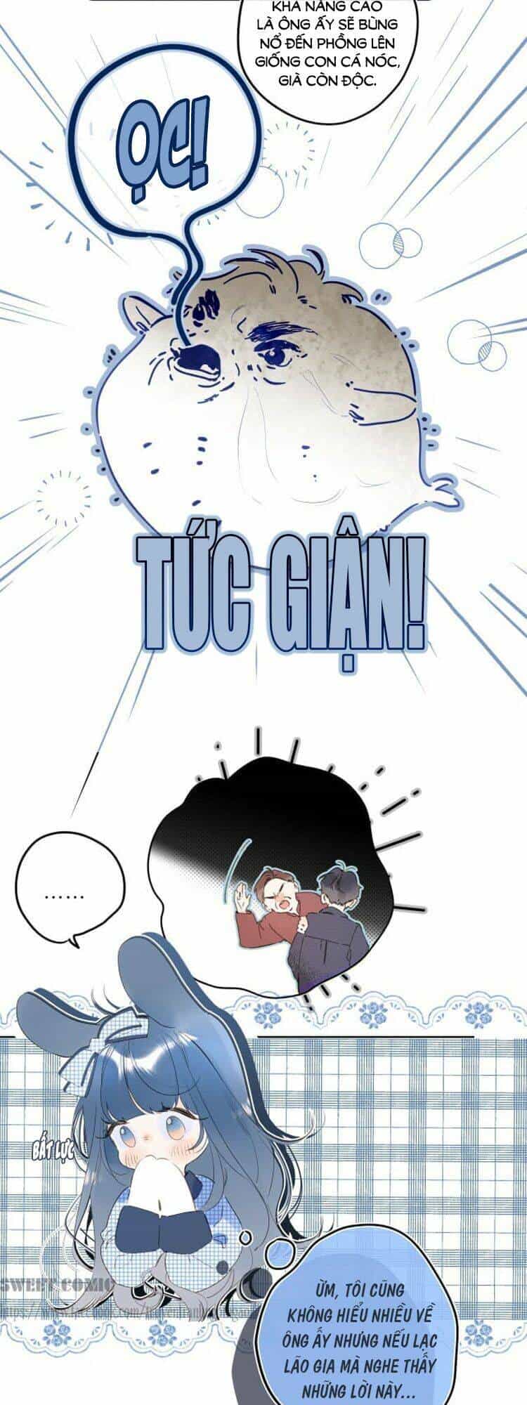Đừng Khóc - Chương 43 - ảnh 10