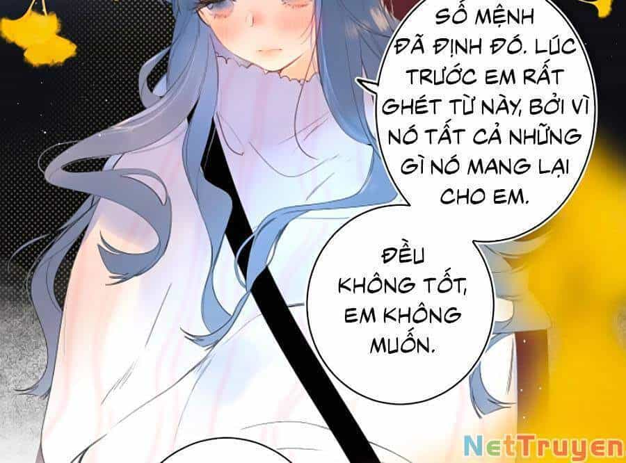 Đừng Khóc - Chương 61 - ảnh 29