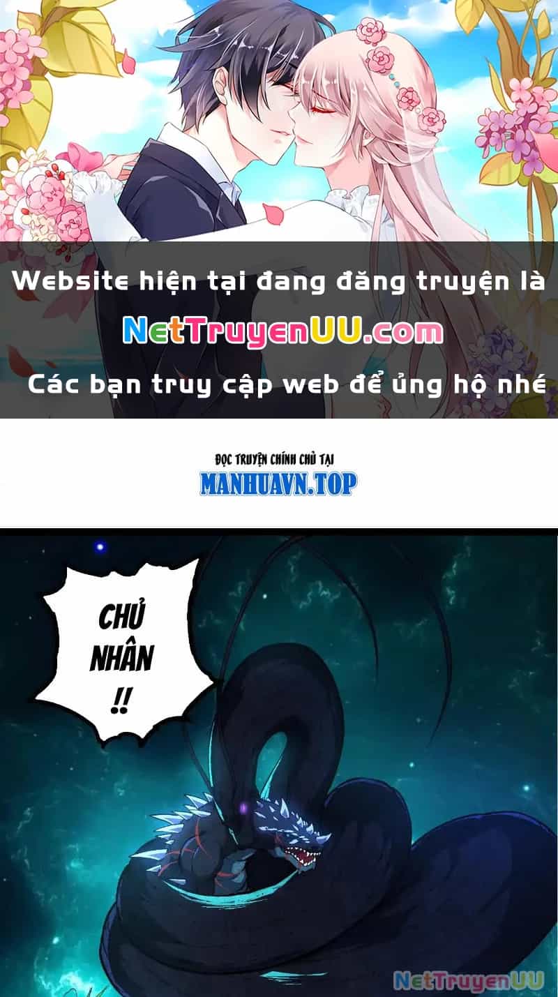 Đúng Như Hàn Quang Gặp Nắng Gắt - Chương 505 - ảnh 69