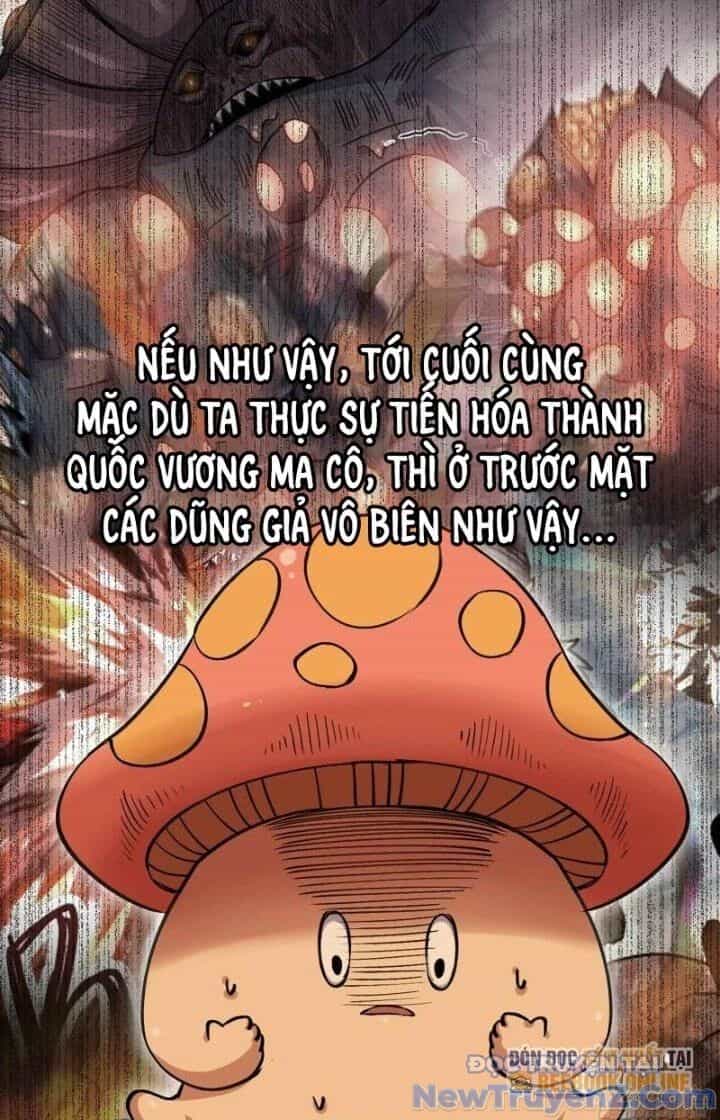 Dũng Sĩ Nấm - Chương 42 - ảnh 40