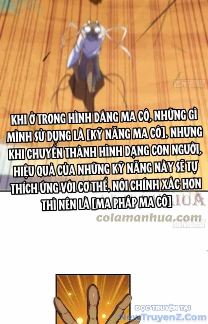 Dũng Sĩ Nấm - Chương 88 - ảnh 36