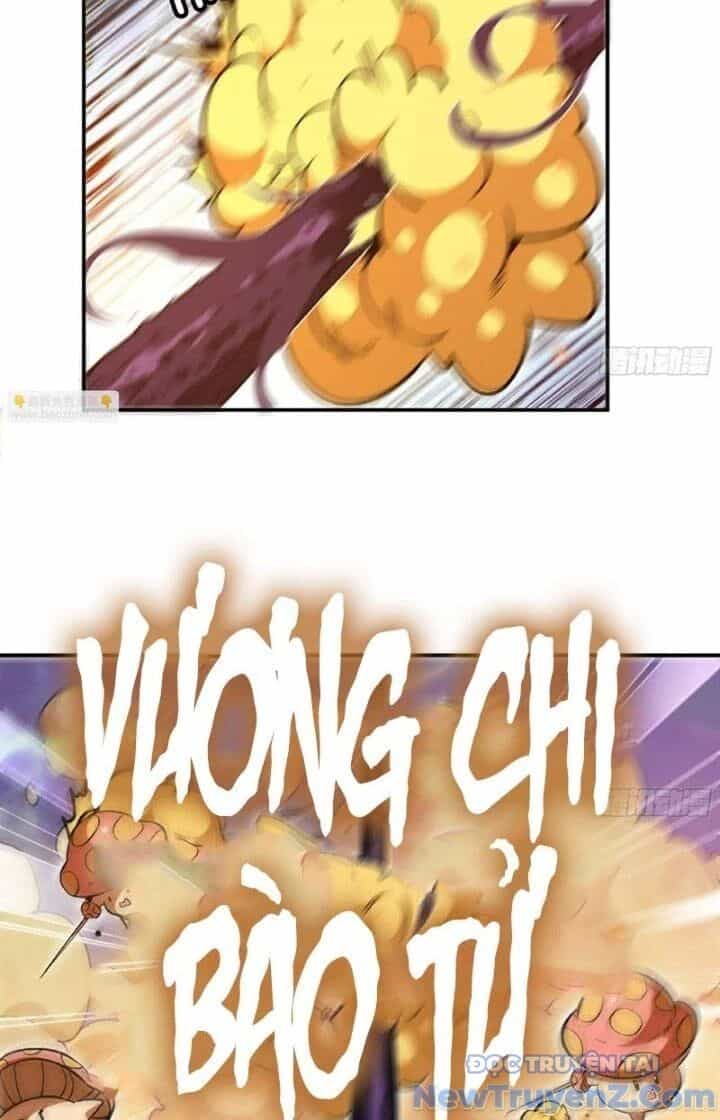 Dũng Sĩ Nấm - Chương 94 - ảnh 4