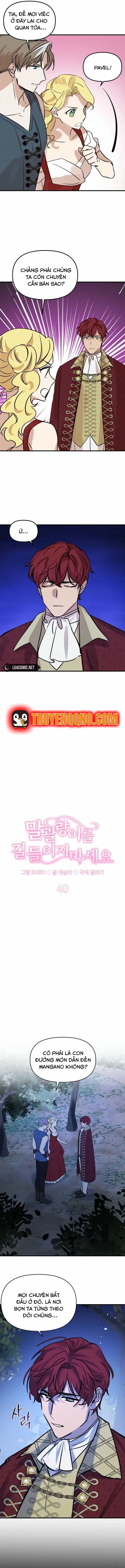 Đừng Thuần Hóa Cô Nàng Đanh Đá - Chương 40 - ảnh 9