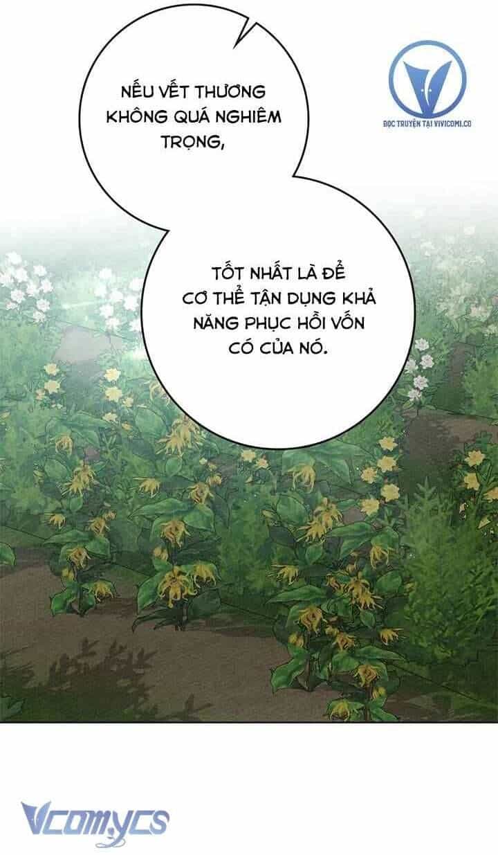 Dưới Bóng Cây Sồi - Chương 91 - ảnh 14