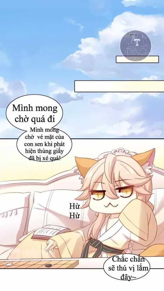 Dưới Móng Vuốt Mèo - Chương 13 - ảnh 20