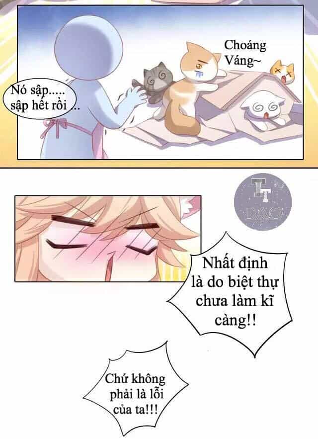 Dưới Móng Vuốt Mèo - Chương 13 - ảnh 38