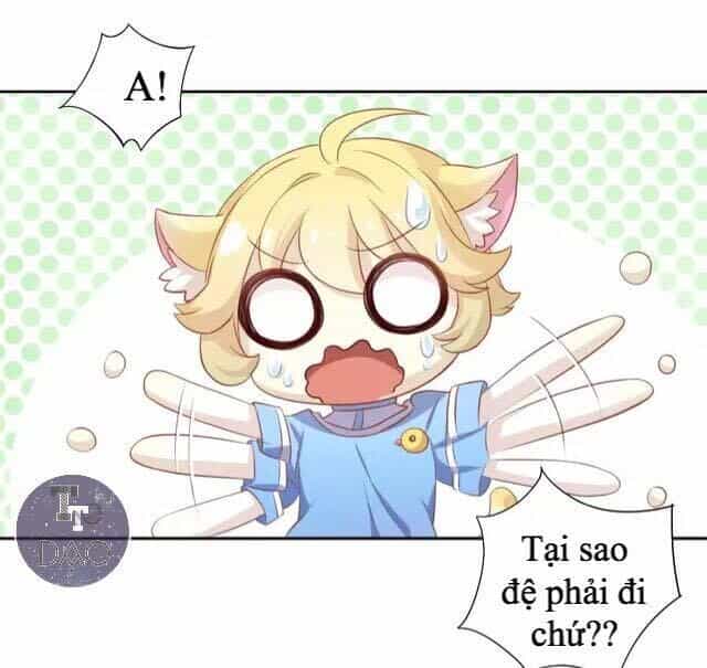 Dưới Móng Vuốt Mèo - Chương 13 - ảnh 5