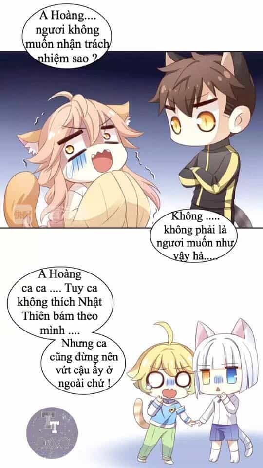 Dưới Móng Vuốt Mèo - Chương 14 - ảnh 19