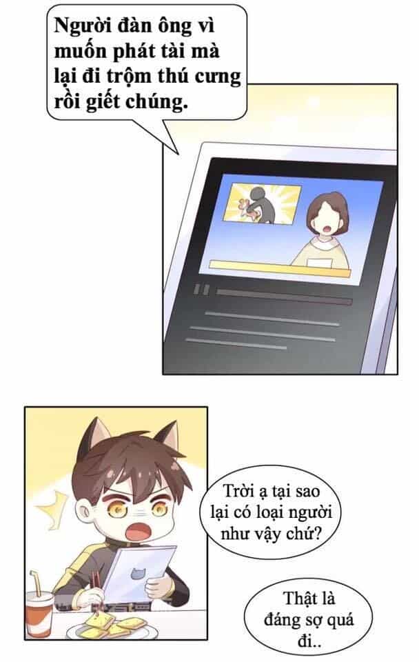Dưới Móng Vuốt Mèo - Chương 14 - ảnh 2