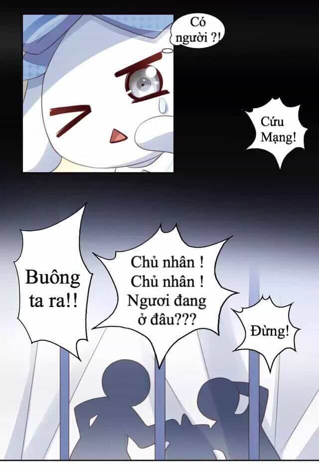 Dưới Móng Vuốt Mèo - Chương 14 - ảnh 31