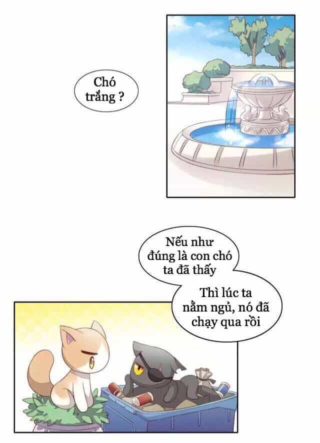 Dưới Móng Vuốt Mèo - Chương 15 - ảnh 16