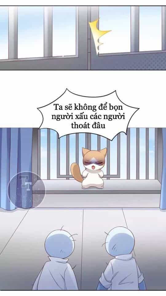 Dưới Móng Vuốt Mèo - Chương 15 - ảnh 38
