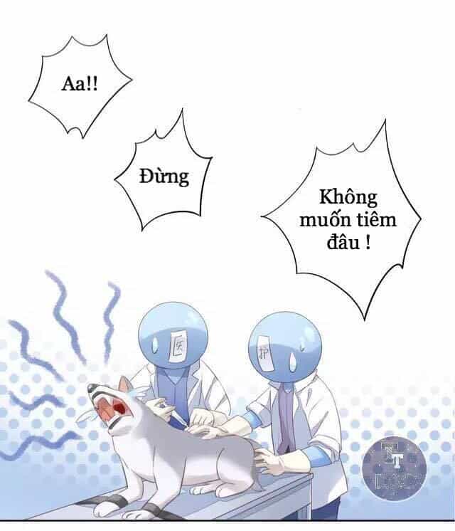 Dưới Móng Vuốt Mèo - Chương 15 - ảnh 48