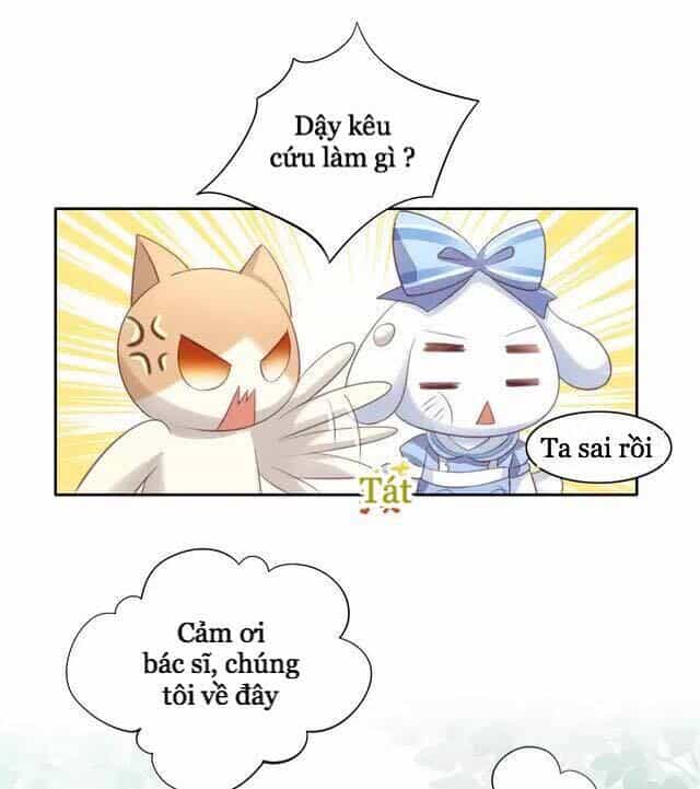 Dưới Móng Vuốt Mèo - Chương 15 - ảnh 50
