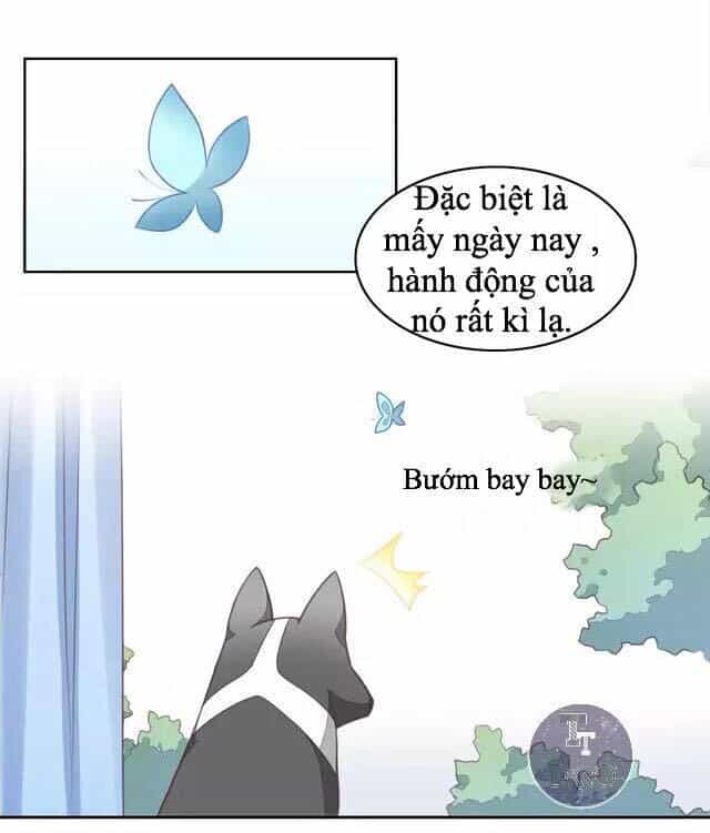 Dưới Móng Vuốt Mèo - Chương 16 - ảnh 6