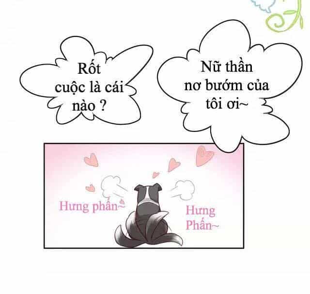 Dưới Móng Vuốt Mèo - Chương 17 - ảnh 16