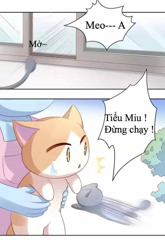 Dưới Móng Vuốt Mèo - Chương 17 - ảnh 27