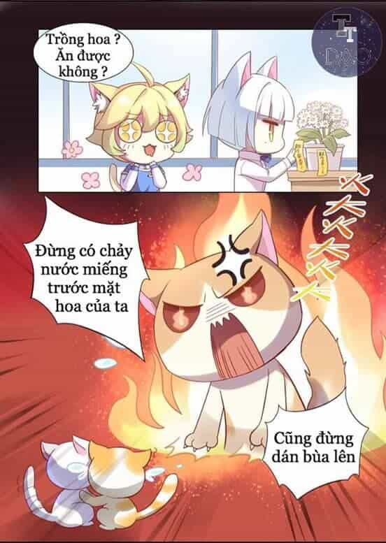 Dưới Móng Vuốt Mèo - Chương 2 - ảnh 25