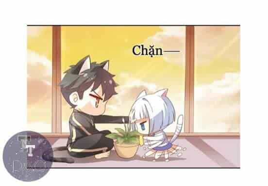Dưới Móng Vuốt Mèo - Chương 2 - ảnh 31