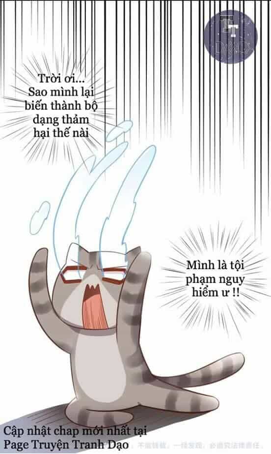 Dưới Móng Vuốt Mèo - Chương 2 - ảnh 43