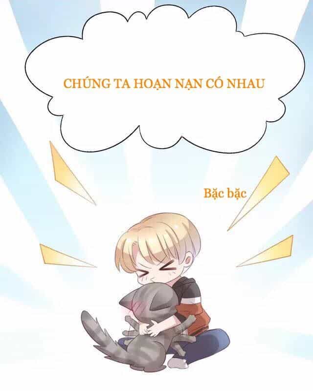 Dưới Móng Vuốt Mèo - Chương 20 - ảnh 48