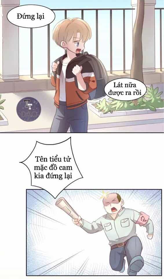 Dưới Móng Vuốt Mèo - Chương 21 - ảnh 14