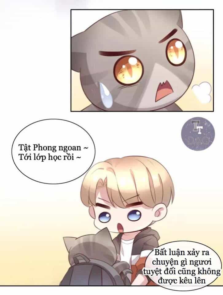 Dưới Móng Vuốt Mèo - Chương 21 - ảnh 22