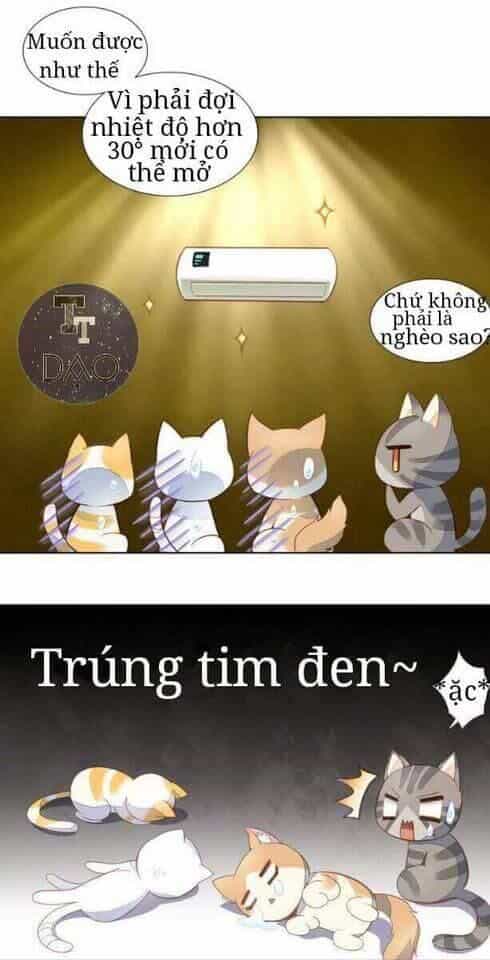 Dưới Móng Vuốt Mèo - Chương 3 - ảnh 6