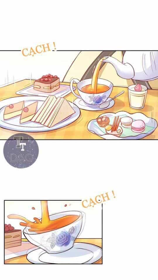 Dưới Móng Vuốt Mèo - Chương 5 - ảnh 4